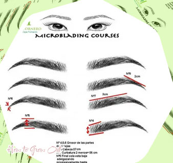 Best way to shape eyebrows